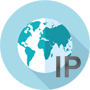 Domain IP Tool